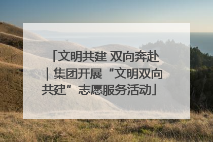 文明共建 双向奔赴｜集团开展“文明双向共建”志愿服务活动